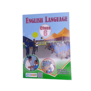 English Class 6